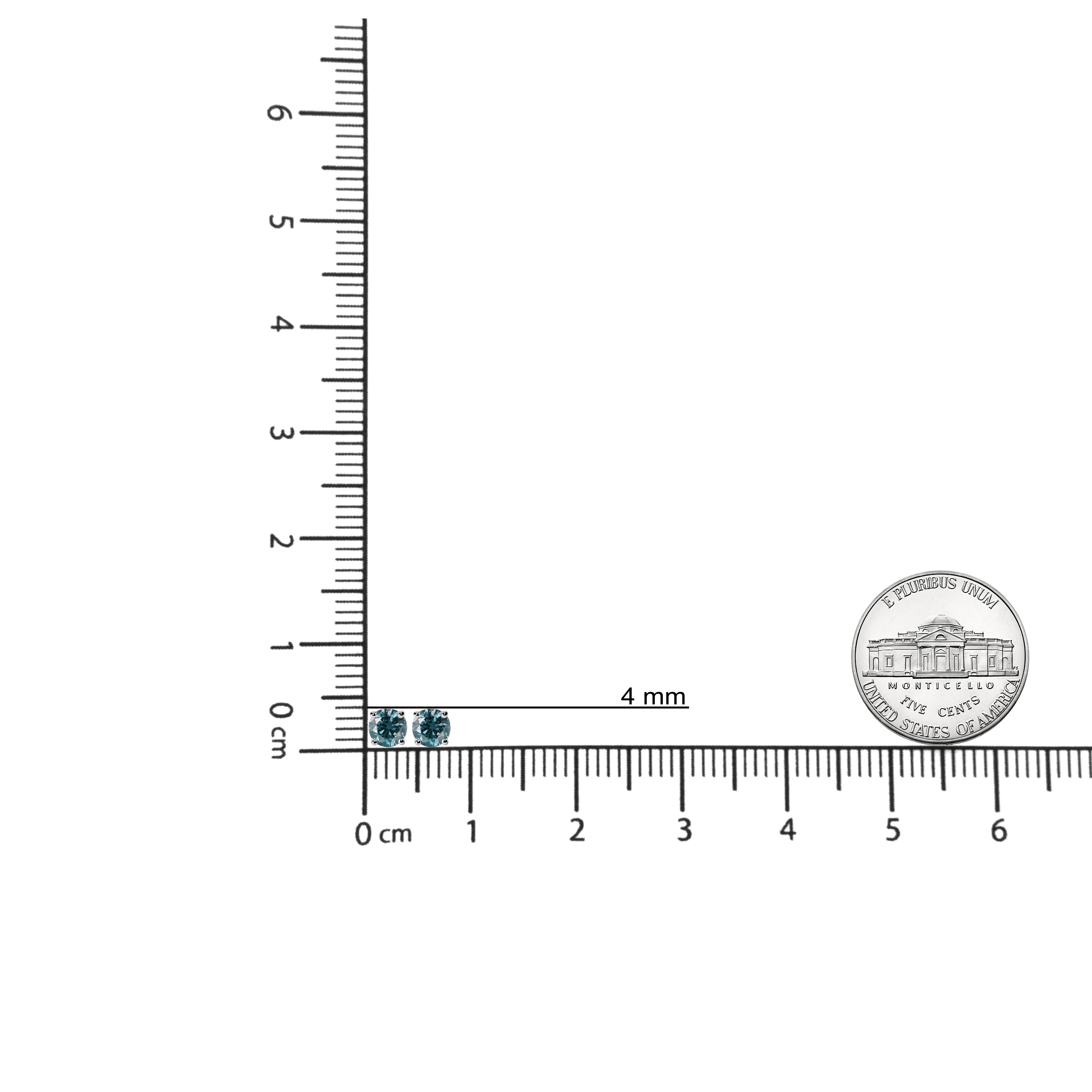 70 6008WLB scale
